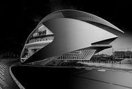 Calatrava's Opera huis in Valencia van Rene Siebring thumbnail