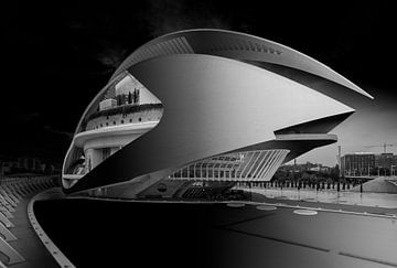 Calatrava's Opera House in Valencia by Rene Siebring