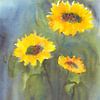 Sonnenblumen Trio von Karen Kaspar
