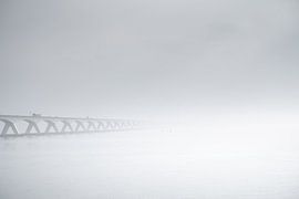 Die Erasmusbrücke im Nebel
