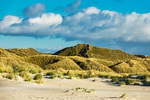 Landscape with dunes on the North Sea island Amrum sur Rico Ködder