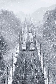 Sneeuwpiercer van Tiger Seo