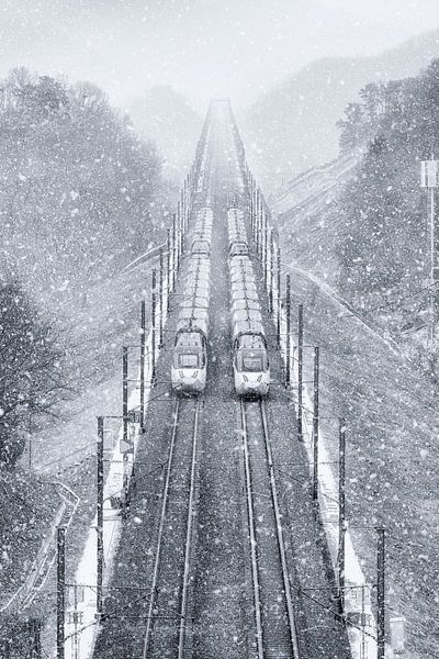 Snowpiercer by Tiger Seo
