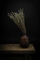 Modern Still Life Dry Flowers in a Vase
