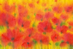 Soleil dans un champ de coquelicots