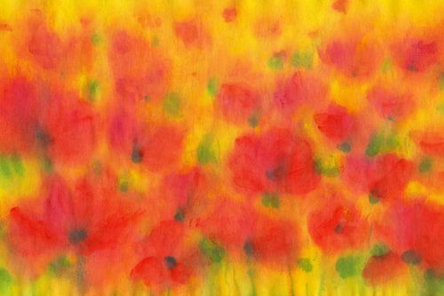 Soleil dans un champ de coquelicots