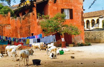 Foto's van Ile de Gorea/ Senegal. (4) van Ineke de Rijk