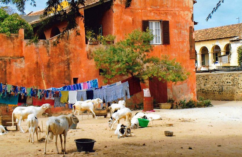 Photos of Ile de Gorea/ Senegal. (4) by Ineke de Rijk