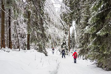 Winterlandschap in het Thüringer Woud van Rico Ködder
