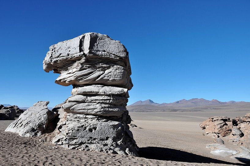 Siloli: eine einzigartige Wüste in der Nähe des Salar de Uyuni von Frank Photos