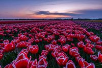 Die Stille des Abends