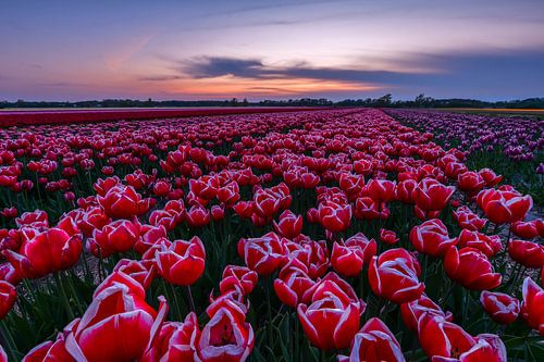 The silence of the evening