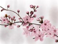 Lente in afwachting