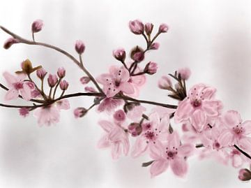 Lente in afwachting