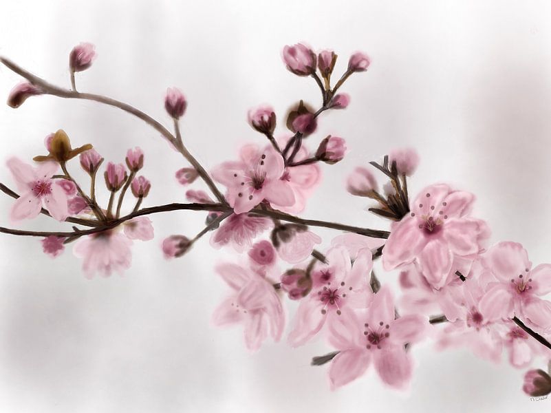 Lente in afwachting van Natascha Dokter