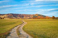 Country road in autumn in Transylvania