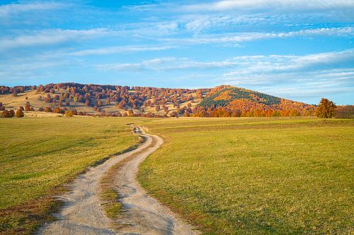 Landweg in de herfst in Transsylvanië van Menno van der Haven