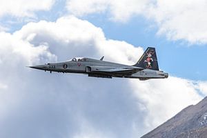 Northrop F-5E Tiger II der Schweizer Luftwaffe.