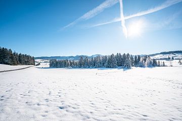 Winteruitzicht vanaf Sinswanger Moos bij Oberstaufen met uitzicht op de Hochgrat van Leo Schindzielorz