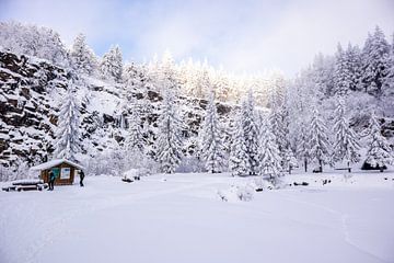 Langlaufen in het besneeuwde Thüringer Woud bij Floh-Seligenthal - Thüringen - Duitsland van Oliver Hlavaty