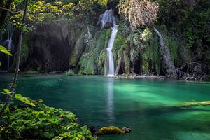 Petit paradis