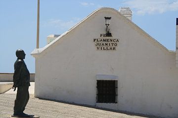 Peña flamenca