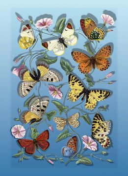 Paper Butterflies van Marja van den Hurk