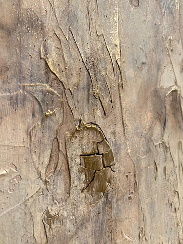 Golden Cracked Texture