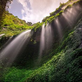 Een waterval op Java van Claudio Duarte