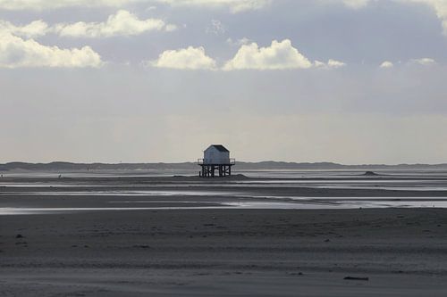 Drowning cottage on De Vliehors on Vlieland