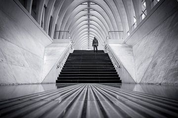 Stairs Liege station by Antwan Janssen