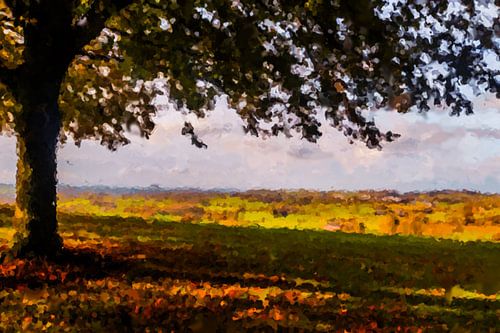 Genieten in de schaduw