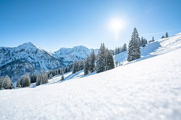 winterliche Aussicht im Allgäu und seine Bergkulisse von Leo Schindzielorz