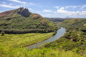 Wailua River State Park - Kaua'i (Hawaii) van t.ART