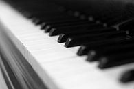 Piano sleutel zwart-wit beeld von Falko Follert Miniaturansicht