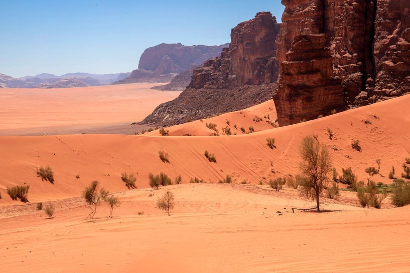 Explore the Mystical Beauty of Wadi Rum by Antwan Janssen