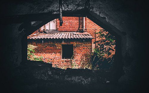 " Ik kan je zien....kan je me zien? " Blair Witch Project