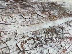 Gebarsten wit oppervlak