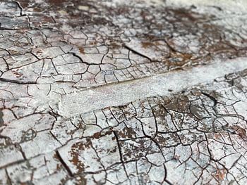 Cracked White Surface