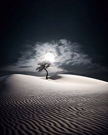 Aesthetic minimalism