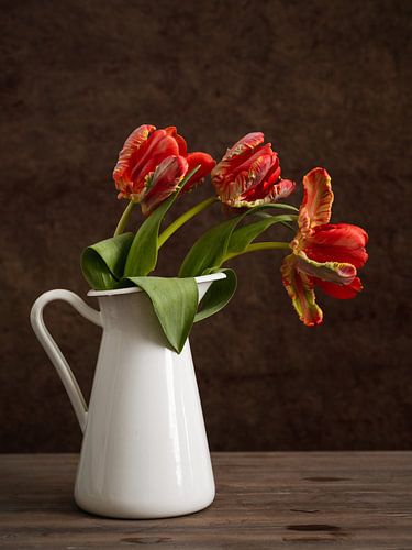 Red tulips in a vase