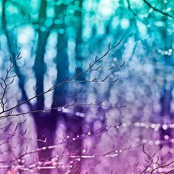 Un hiver haut en couleurs