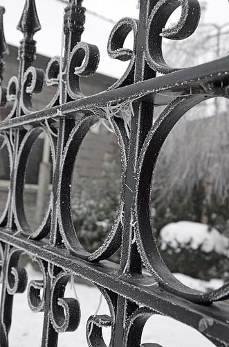 Hekken in de sneeuw