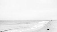 Sea does not go