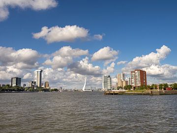Erasmusbrug Rotterdam van Pictures by Van Haestregt