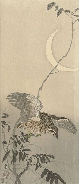 Ohara Koson - Quail at Sickle Moon (edited) by Peter Balan