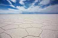 Scenic View Of Salar De Uyuni against a clear blue sky, bolivia by Tjeerd Kruse thumbnail
