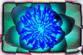 Le secret des nénuphars