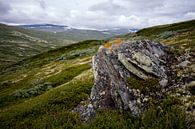 Noorse hoogvlakte  van Pieter Gordijn thumbnail