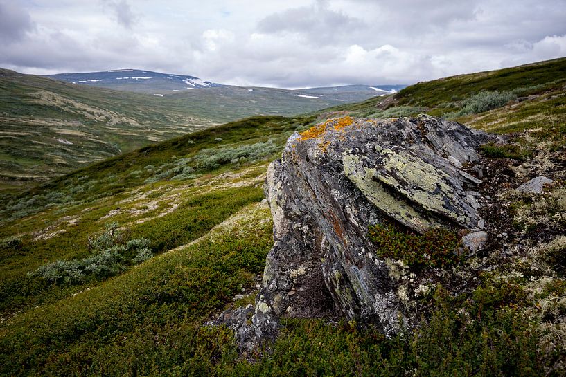Noorse hoogvlakte  van Pieter Gordijn